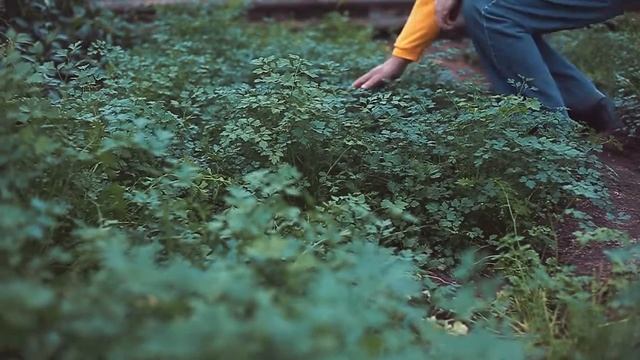 Бургер бар "Нахлебник" ... выбирает для вас лучшее смотреть онлайн