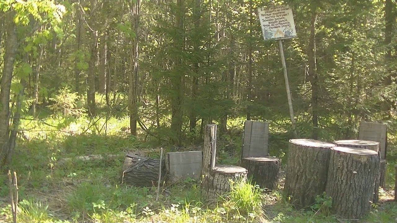 Как я ищу металлолом. Сталк по леспромхозовским делянкам. смотреть онлайн