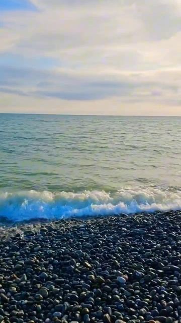 #шумморя #прибой #асрм #shorts #сочи смотреть онлайн