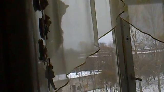 КОШКА ИСПУГАЛАСЬ ШАРИКА| СМОТРЕТЬ ВСЕМ! смотреть онлайн