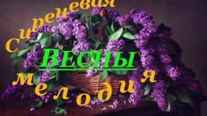 Сиреневая мелодия весны | Пора сирени #деньСирени