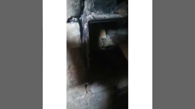 Обычное видео? Поколол дров?! смотреть онлайн