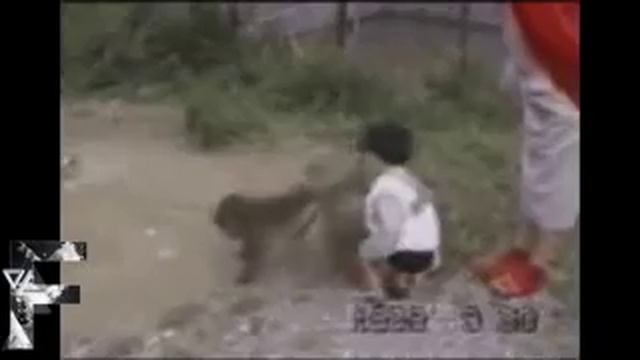 приколы смотреть онлайн