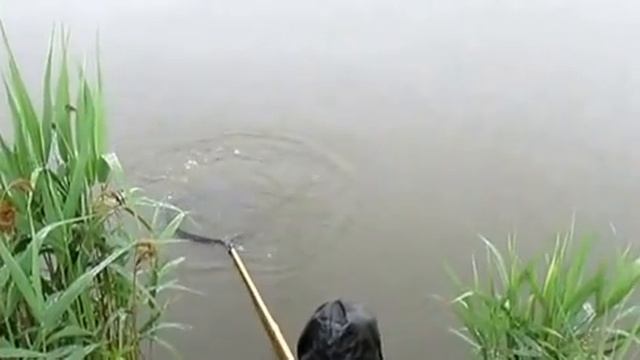 Ловля амура смотреть онлайн