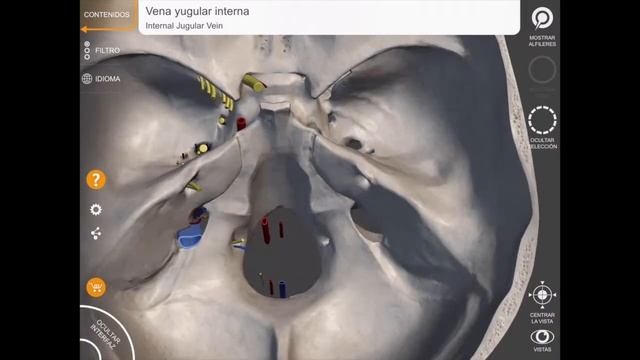 NEUROAPPS 3D SKULL ATLAS смотреть онлайн