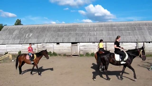Обучение скачкам на лошадях Аше смотреть онлайн