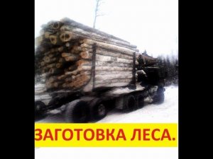 Заготовка леса.  Аномальная зима.