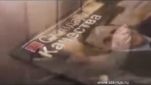 Стандарт качества смотреть онлайн