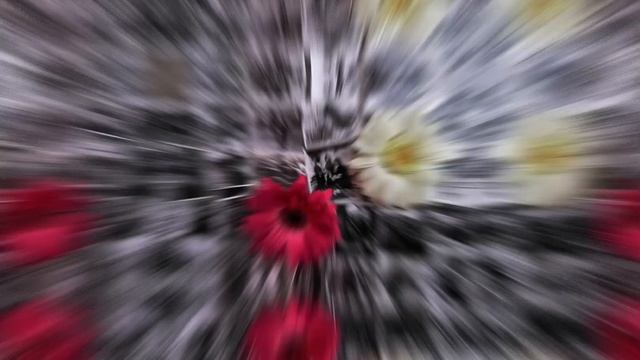 ҚИНАЛЫП ЖҮРСЕҢ ТЫҢДА. ӨЗГЕР. смотреть онлайн