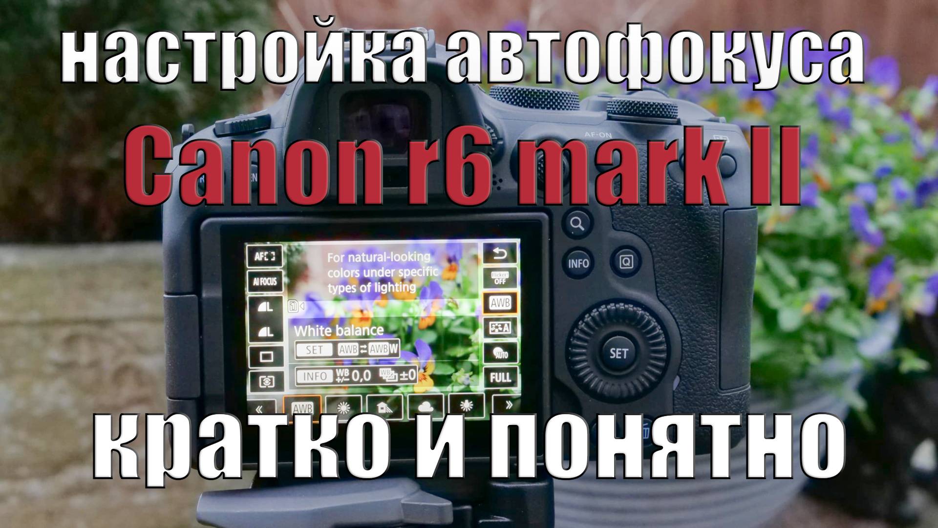 Настройка автофокуса canon R6 II кратко и понятно смотреть онлайн