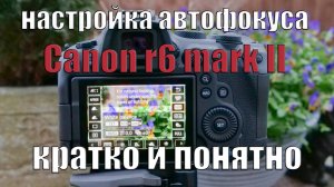 Настройка автофокуса canon R6 II кратко и понятно