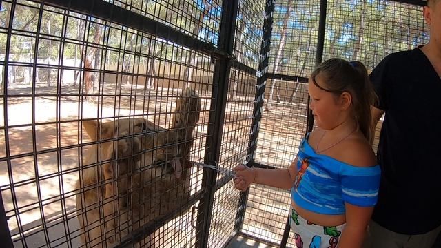 Время С Пользой