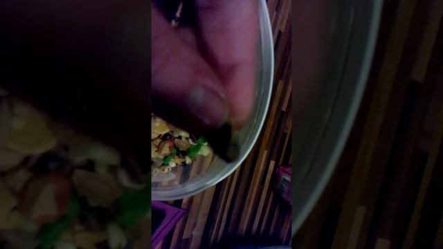 Шиншилла и дего смотреть онлайн