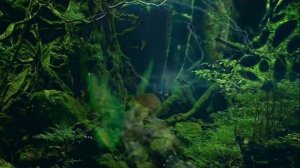 Загадочная красота 2017 - микс с расслабляющим Флорином.