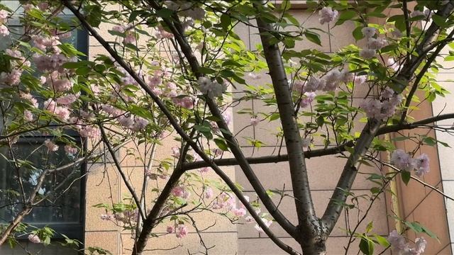 ИНТЕРЕСНЫЙ ДЕНЬ КИТАЙ  ЕДА И ПУТЕШЕСТВИЯ ПО КИТАЮ ИНТЕРЕСНЫЕ МЕСТА #китай #еда #обзоры #путешествия