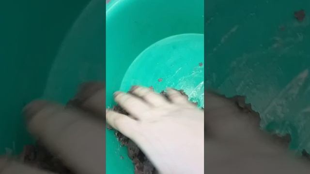 Делаю массу для папье-маше смотреть онлайн
