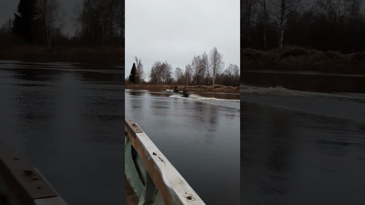 Браконьеры не ожидали такого подвоха. Ловим #рыбалка #охота