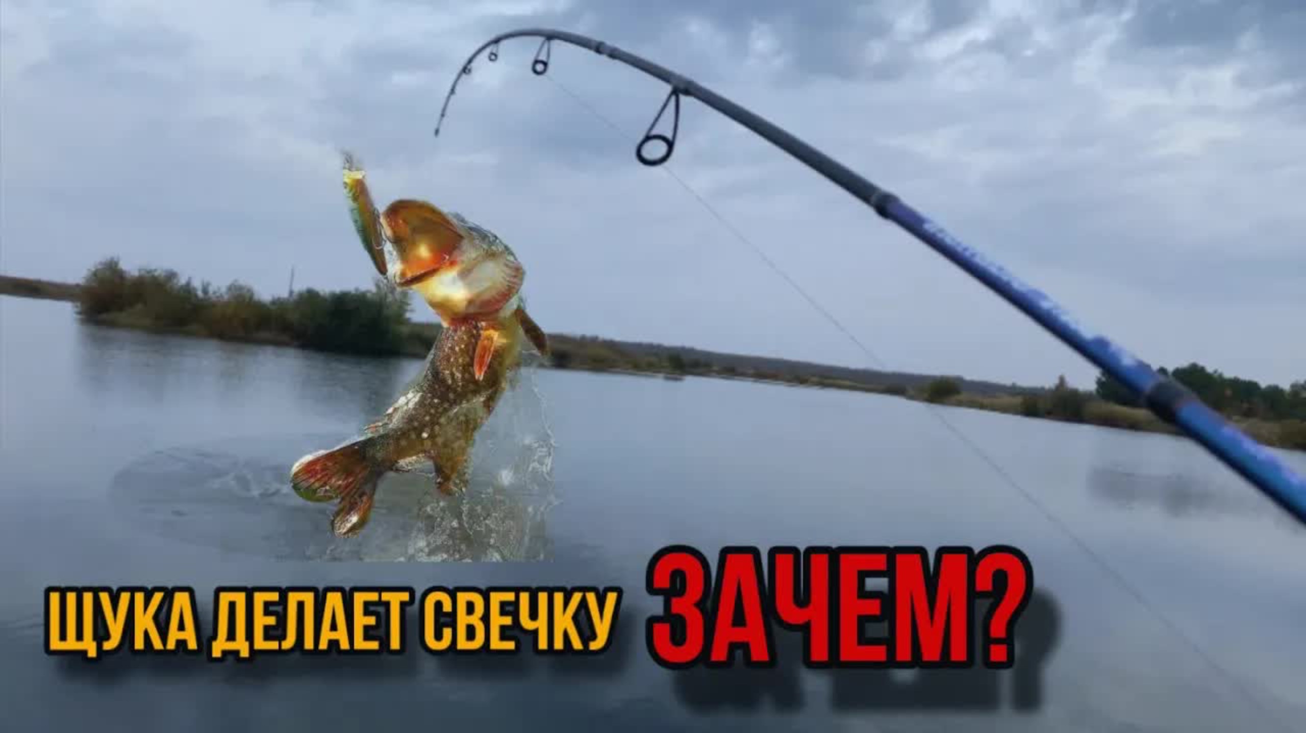 ЗАЧЕМ ЩУКА ДЕЛАЕТ СВЕЧУ?ОСЕННЯЯ РЫБАЛКА на СПИННИНГ! смотреть онлайн