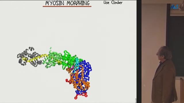 Michael Levitt-Hybrid Multiscale Models for Simulating Functional Motion смотреть онлайн