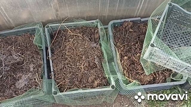 ВЫРАЩИВАНИЕ РАСТЕНИЙ В ЯЩИКАХ 1 ЧАСТЬ // ЯЩИКИ, СЕТКА, СУБСТРАТ // ВАЦАП ДЛЯ ЗАКАЗА 89152458159 смотреть онлайн