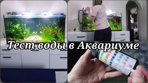 СОДЕРЖАНИЕ АКВАРИУМА 🐟 ДОМАШНИЙ АКВАРИУМ 🐟 ТЕСТЫ ВОДЫ В АКВАРИУМЕ