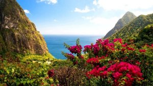 Коран - Сура 15 "Аль-Хиджр" красивое чтение Корана