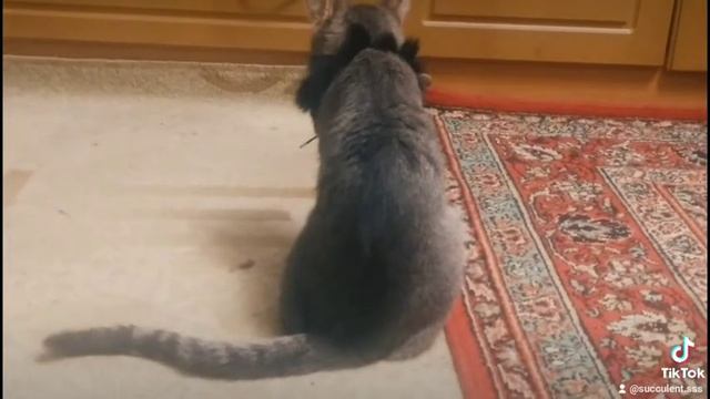 Я балдеюю) смотреть онлайн