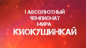 I Абсолютный Чемпионат Мира по Киокушинкай.Финал