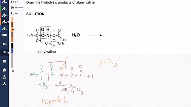 The Peptide Bond Hydrolysis: Protein Chemistry Video смотреть онлайн