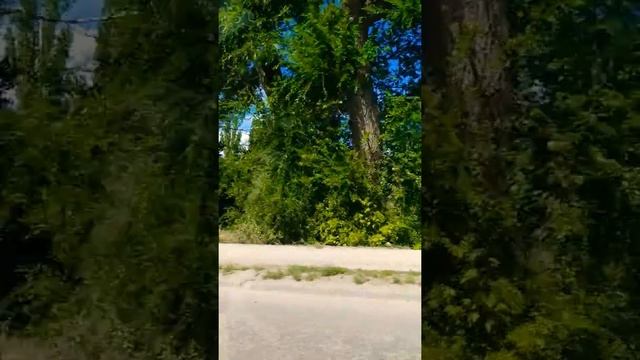 Город Балаково. Улица Комарова. смотреть онлайн