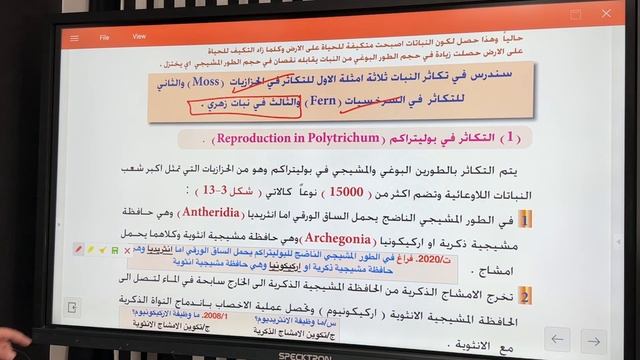 احياء السادس العلمي | الفصل الثالث التكاثر | المحاضرة 8 | التكاثر في النباتات - تعاقب الاجيال смотреть онлайн