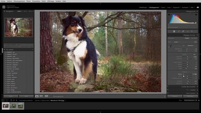 Retouche photo avec Lightroom : Un guide pratique pour les débutants - Partie 2 : La retouche photo смотреть онлайн