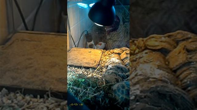 жизнь Жэ-Дэ [Пн 09.09.19] смотреть онлайн