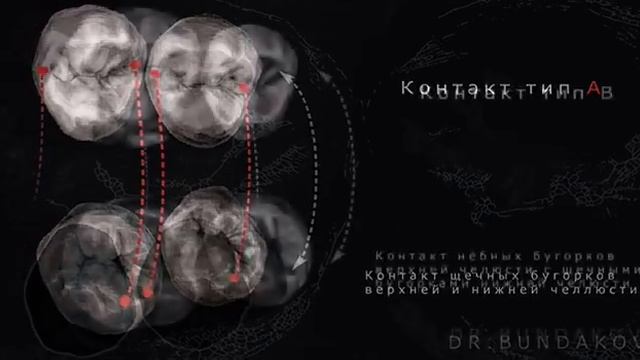 #ГНАТОЛОГИЯ #ВНЧС #ОККЛЮЗИЯ #OKLYUZIYA #NEW #CHPJB #STOMATOLOGIYA #DENTAL смотреть онлайн
