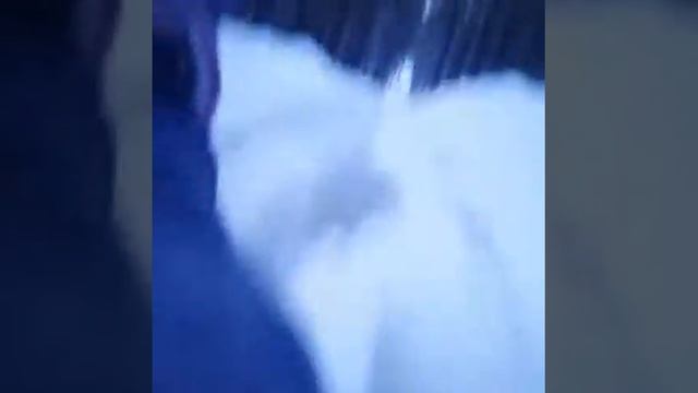 Боровое! Каникулы😘😆😀💋🌇🌃🙆❄ смотреть онлайн