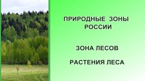 Природная зона лесов (4 класс, окружающий мир). Растения лесной зоны.