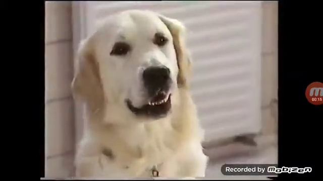Chappi Polska 1991