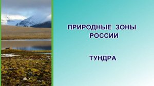 Природные зоны России : тундра (Окружающий мир, 4 класс)