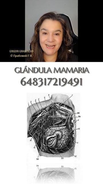 Regenerar GLANDULA MAMARIA #salud #vida #grabovoi смотреть онлайн