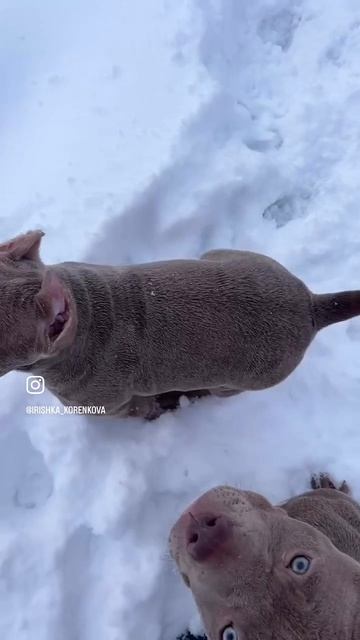 Мальчик амбулли др. 3.12.2024 смотреть онлайн