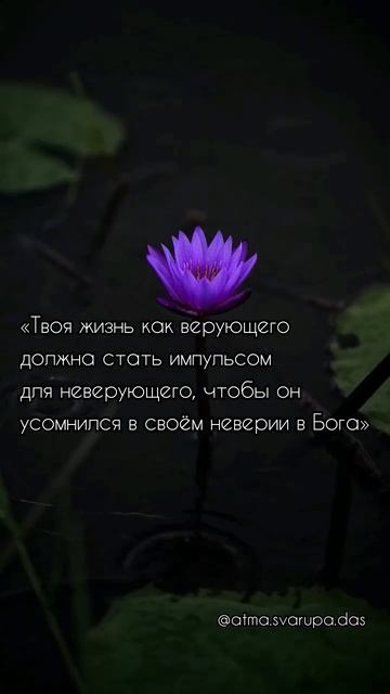 #Бог #вера #сомнения #импульс #направление #путь #жизнь смотреть онлайн