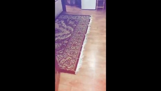 Вечерние танцы с Еленой Никоновой смотреть онлайн