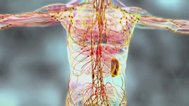 Учёные о терапевтических свойствах водородной воды смотреть онлайн