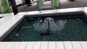 Ялта, Интурист. Нереальный спорт-зал, лучший вид.