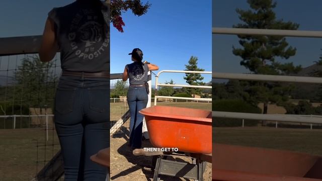 #horsegirl #farmchores #minihorse #ranch #farm #horse #horseowner смотреть онлайн