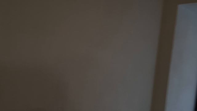 20241001_165615.mp4