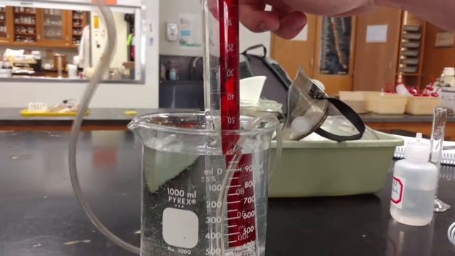 Cool Chemistry Experiment! - Carbon Dioxide (CO2) gas collection via HCL + CaCO3 reaction смотреть онлайн