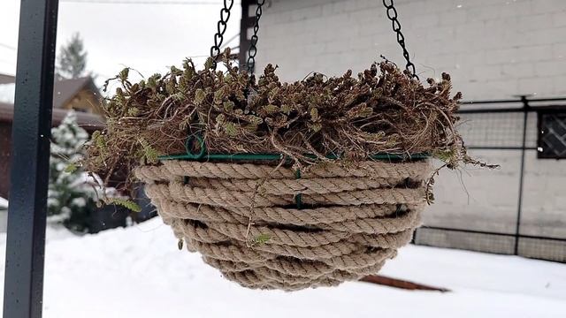 Подвесные кашпо из джута для сада своими руками. Апрель 2025. смотреть онлайн