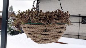 Подвесные кашпо из джута для сада своими руками. Апрель 2025.