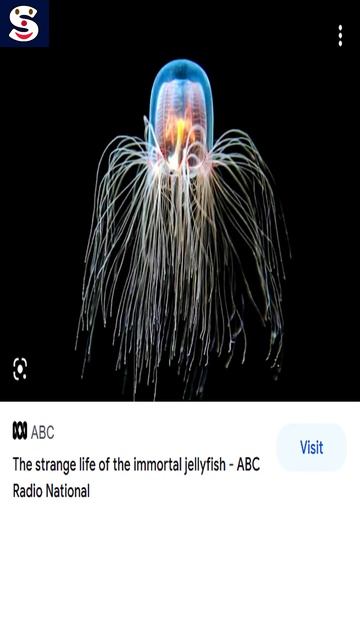 🚫💀 Immortal Jellyfish 🧬 Genome Mapped | साइंस 📰 смотреть онлайн